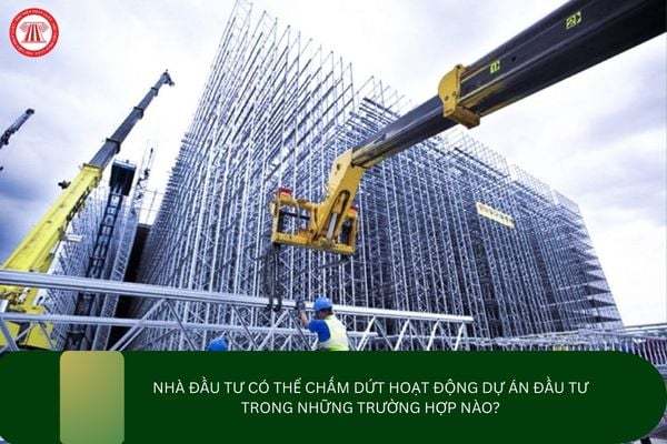 Pháp luật
