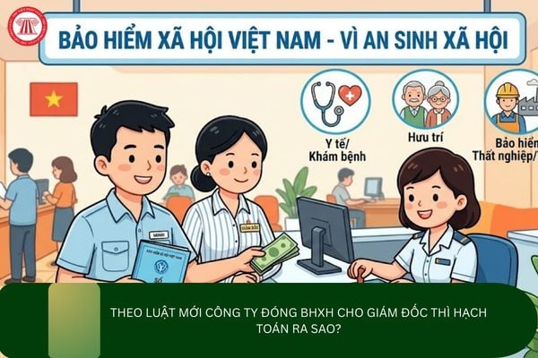 Pháp luật