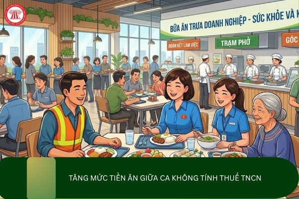 Pháp luật