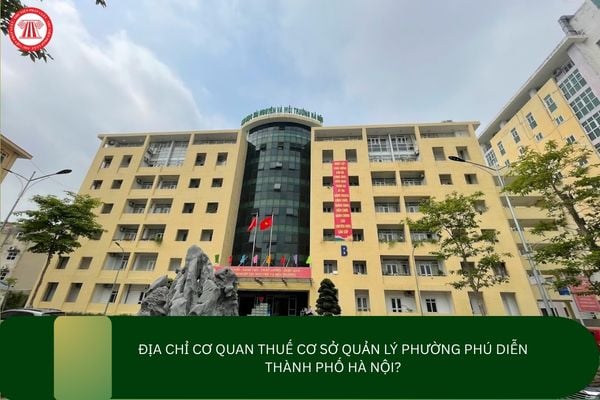 Pháp luật