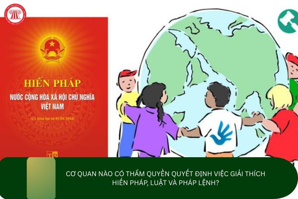 Pháp luật
