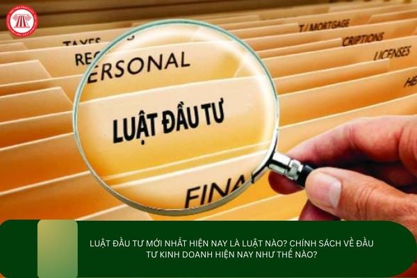 Pháp luật