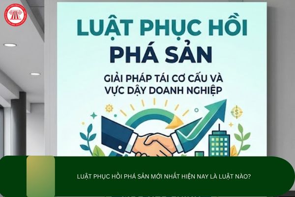 Pháp luật