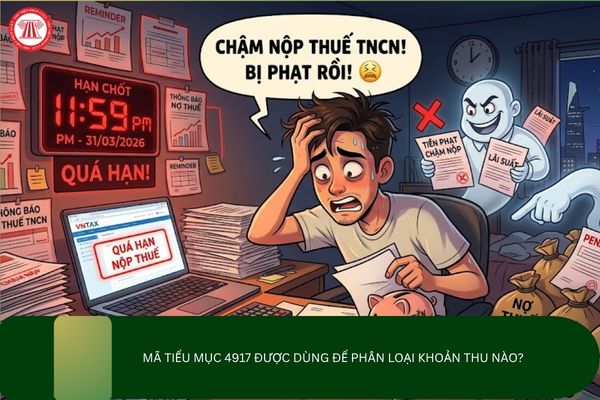 Pháp luật