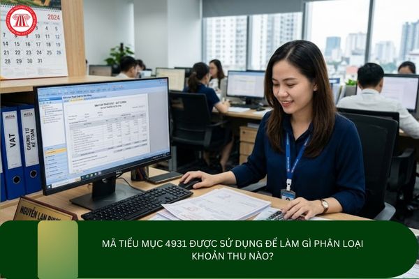 Pháp luật