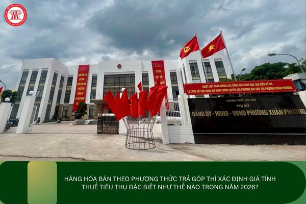 Pháp luật