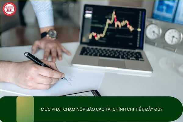 Pháp luật