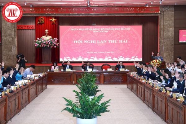 Pháp Luật Nhà Đất