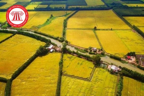 Pháp Luật Nhà Đất
