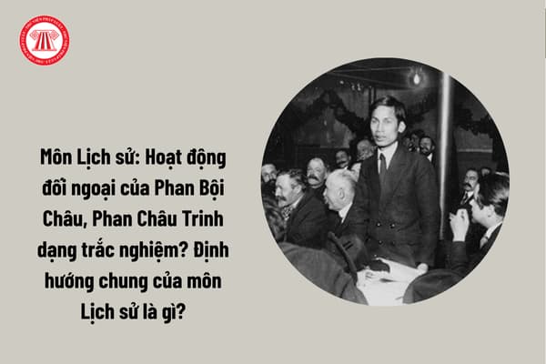 Pháp luật