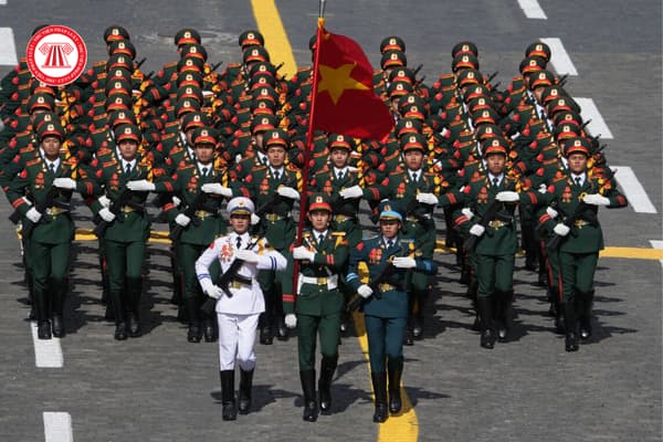 Pháp luật