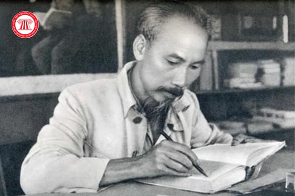 Pháp luật