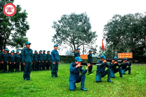 Pháp luật
