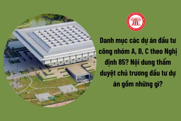 Pháp luật