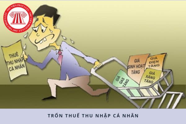 Pháp luật