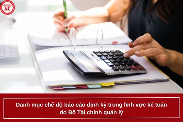Danh mục chế độ báo cáo định kỳ trong lĩnh vực kế toán do Bộ Tài chính quản lý?