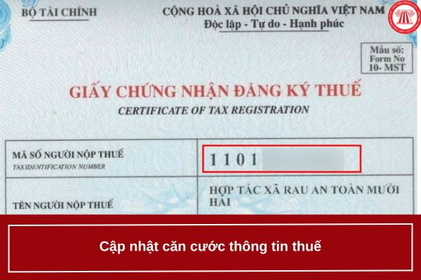 Pháp luật