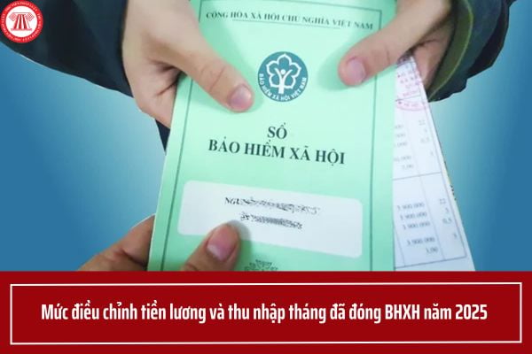 Pháp luật