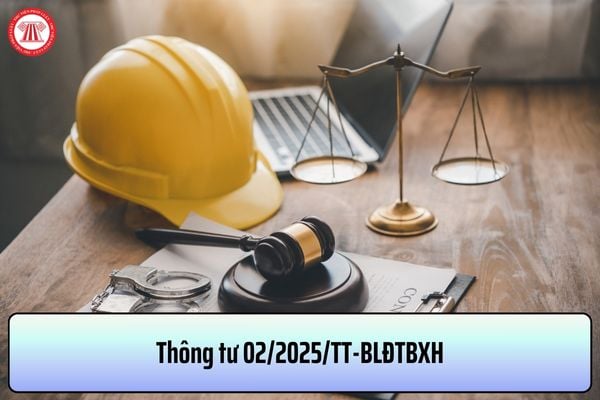 Thông tư 02/2025/TT-BLĐTBXH về chế độ báo cáo thống kê Ngành Lao động - Thương binh và Xã hội? Mức án phí lao động năm 2025?