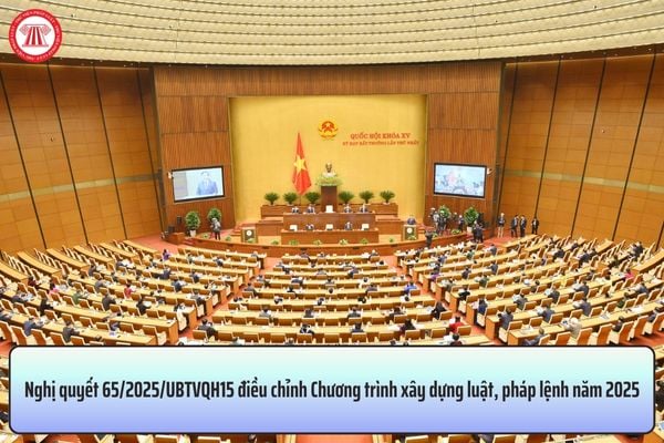 Pháp luật