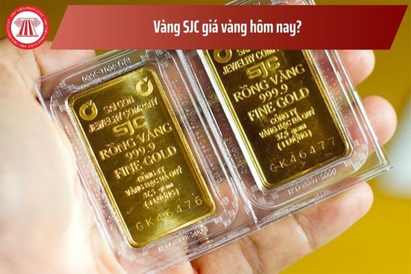 Vàng SJC giá vàng hôm nay? Vàng miếng SJC có chịu thuế GTGT không?