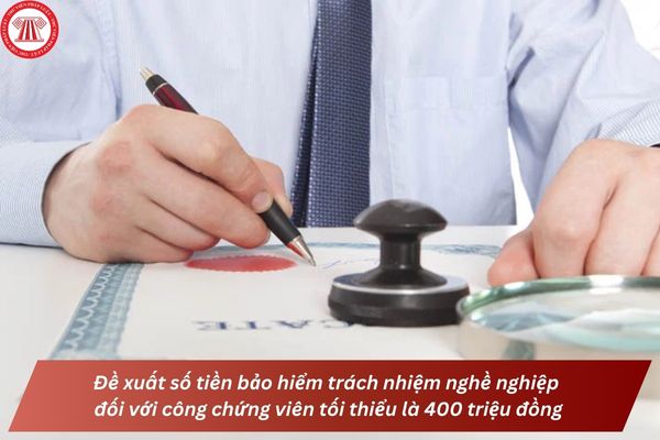 Pháp luật