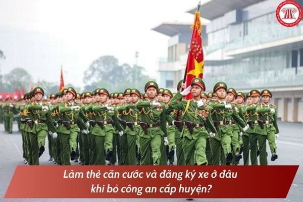 Pháp luật