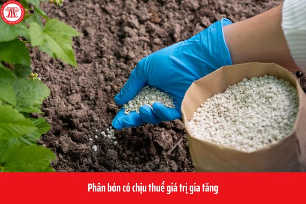 Phân bón có chịu thuế giá trị gia tăng không? Quặng để sản xuất phân bón chịu thuế suất thuế giá trị gia tăng bao nhiêu?