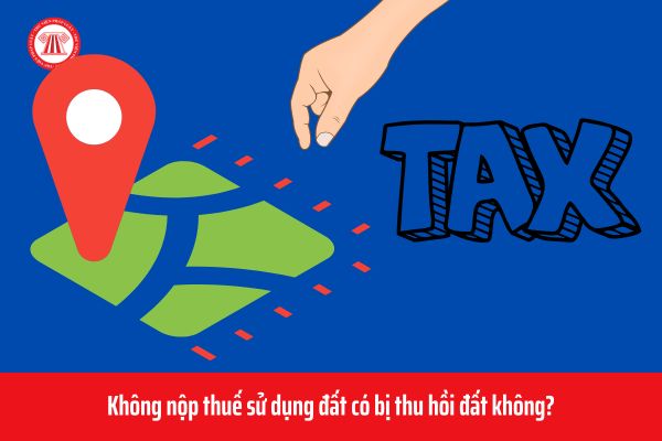 Không nộp thuế sử dụng đất có bị thu hồi đất không?