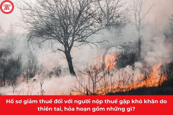 Pháp luật