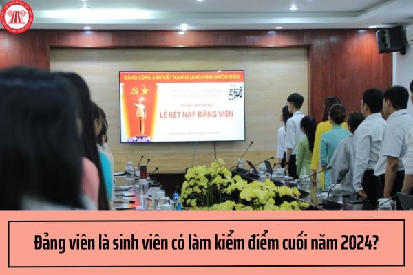 Đảng viên là sinh viên có làm kiểm điểm cuối năm 2024 không?