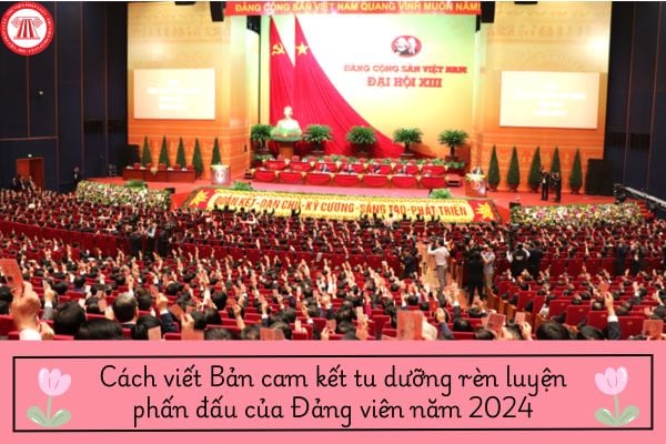 Cách viết Bản cam kết tu dưỡng rèn luyện phấn đấu của Đảng viên năm 2024?