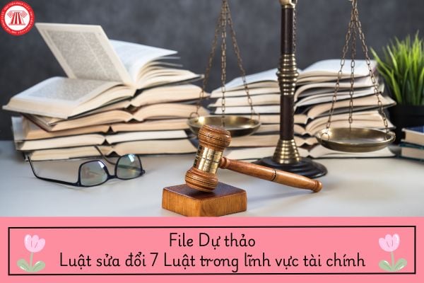 Pháp luật