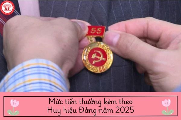 Mức tiền thưởng kèm theo Huy hiệu Đảng năm 2025? Tiền thưởng kèm theo Huy hiệu Đảng có chịu thuế TNCN?