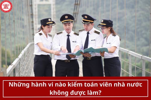 Những hành vi nào kiểm toán viên nhà nước không được làm?