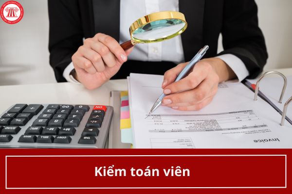 Kiểm toán viên là ai? Học ngành gì để làm kiểm toán viên?