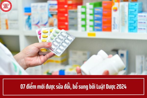Pháp luật