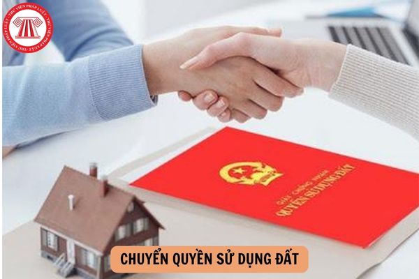Pháp luật