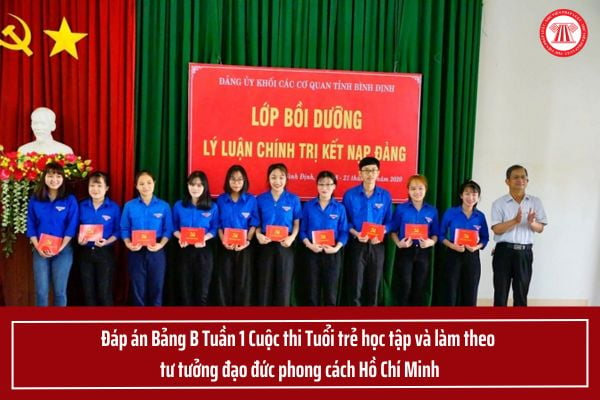 Pháp luật