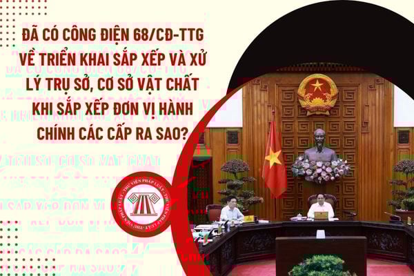 Pháp luật