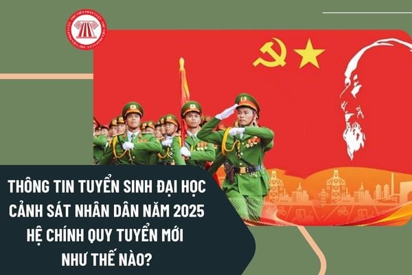Pháp luật