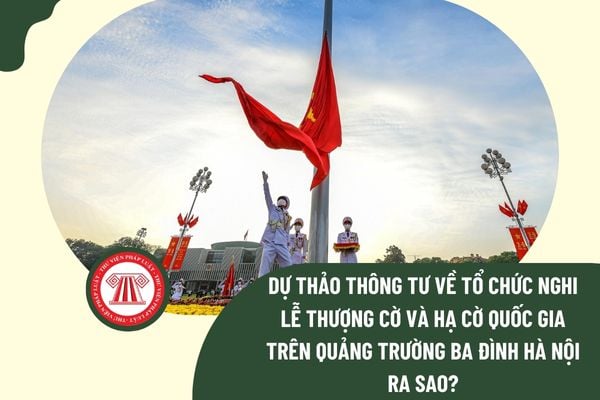 Pháp luật