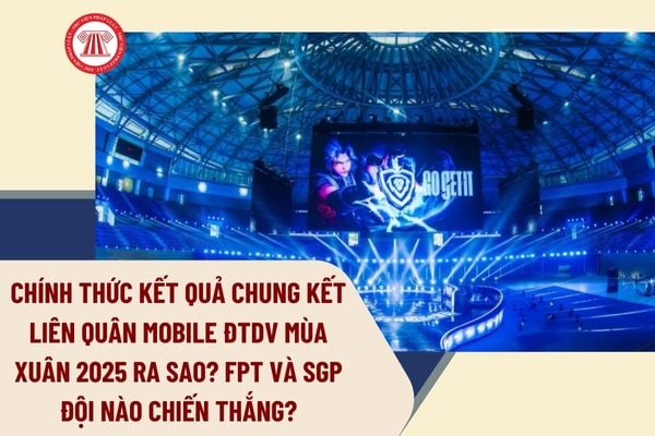 Pháp luật