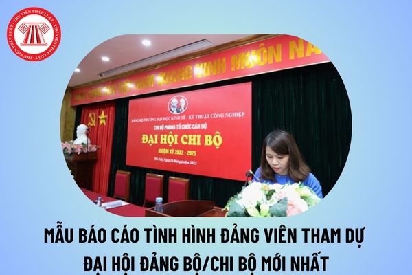 Mẫu báo cáo tình hình Đảng viên tham dự Đại hội Đảng bộ, Chi bộ? Báo cáo tình hình Đảng viên của chi bộ năm 2024 2025?