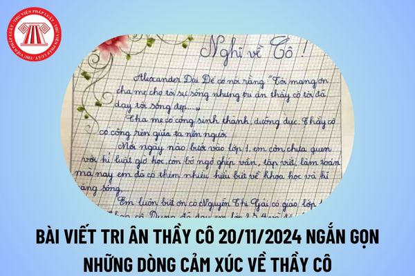 Bài viết tri ân thầy cô 20 11 ngắn gọn? Những dòng cảm xúc về thầy cô nhân Ngày Nhà giáo Việt Nam 2024?