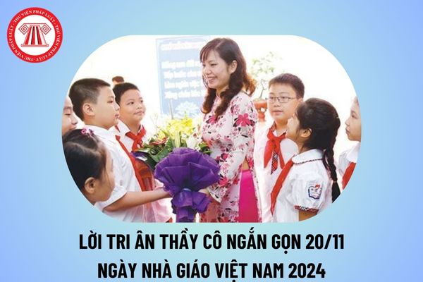 Lời tri ân thầy cô ngắn gọn 20 11 2024 cảm động? Bài viết tri ân thầy cô 20 11? Thơ tri ân thầy cô ngày Nhà giáo Việt Nam? 