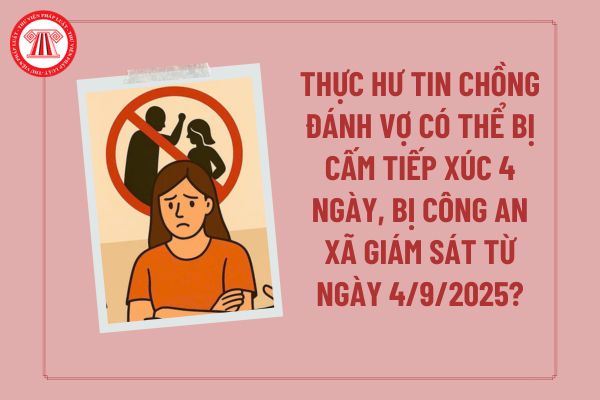 Pháp luật