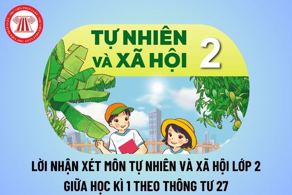 Lời nhận xét môn Tự nhiên xã hội lớp 2 giữa học kì 1 2024 2025? Lời nhận xét môn Tự nhiên xã hội lớp 2 theo Thông tư 27?