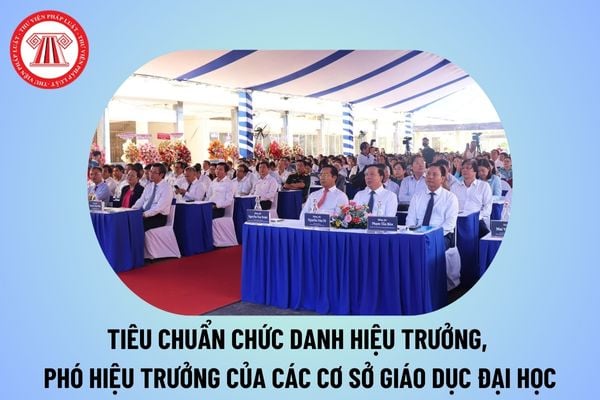 Tiêu chuẩn chức danh Hiệu trưởng, Phó Hiệu trưởng của các cơ sở giáo dục đại học thuộc Bộ Tài chính từ 7/11/2024?