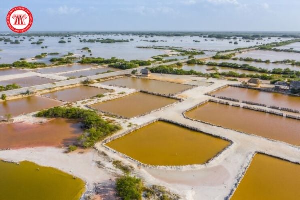 Tổ chức, cá nhân nuôi trồng thủy sản được Nhà nước hỗ trợ khôi phục sản xuất trong trường hợp nào?